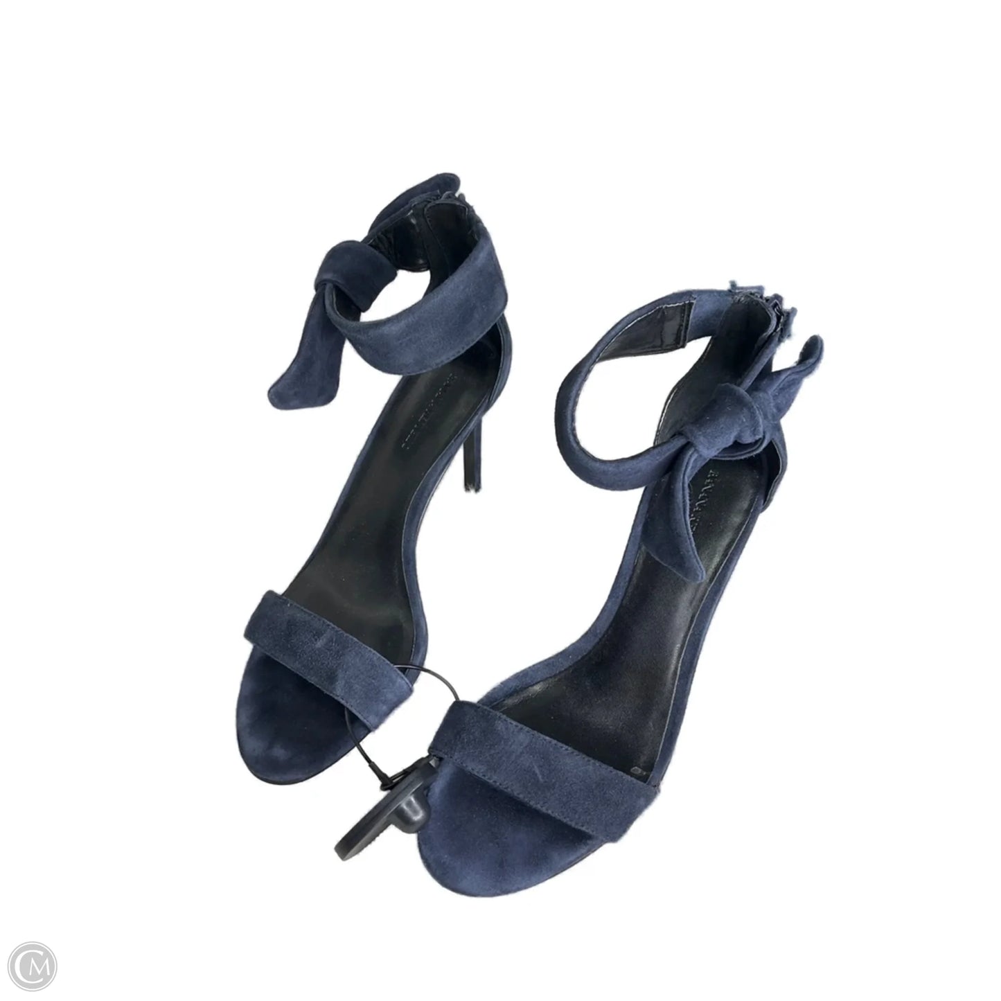 Shoes Heels Stiletto By Banana Republic In Blue, Size: 8