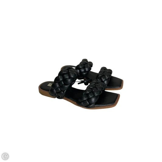 Sandals Flats By Steve Madden In Black, Size: 7