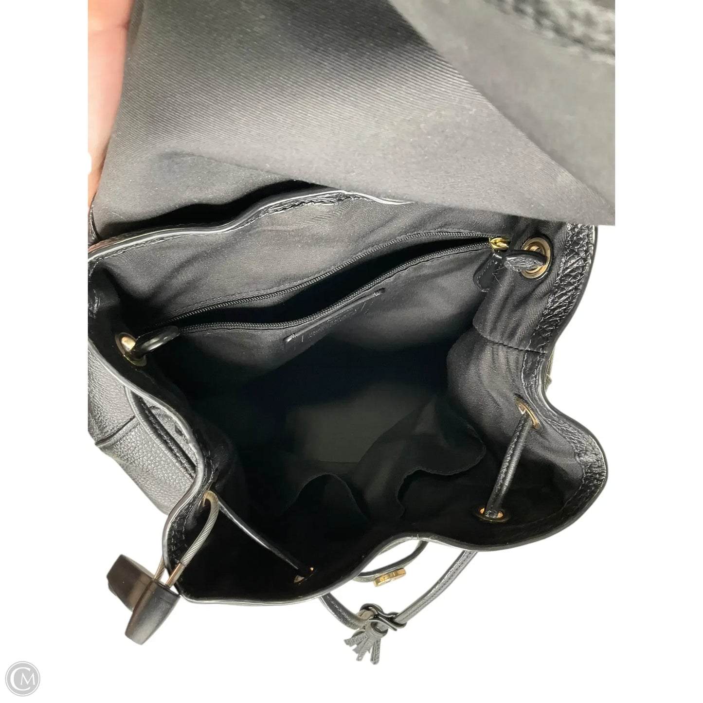 Backpack Designer By Coach, Size: Small