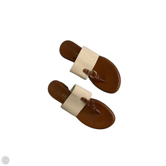 Sandals Flip Flops By Italian Shoemakers In Tan, Size: 8