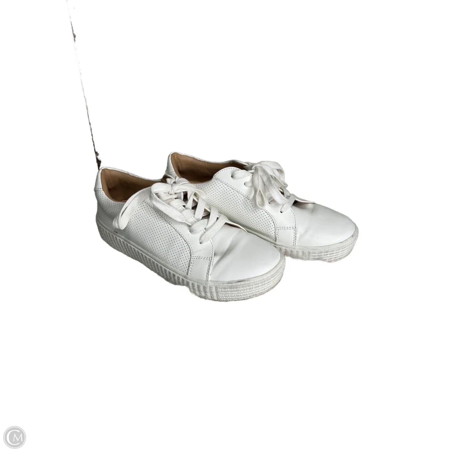 Shoes Sneakers By Steve Madden In White, Size: 9