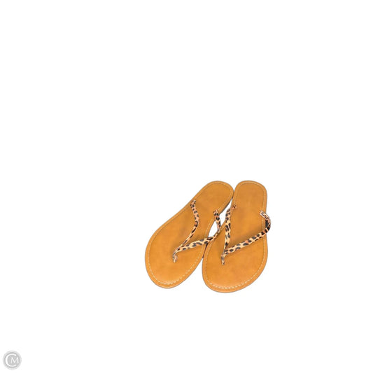 Sandals Flip Flops By Clothes Mentor In Animal Print, Size: 7.5