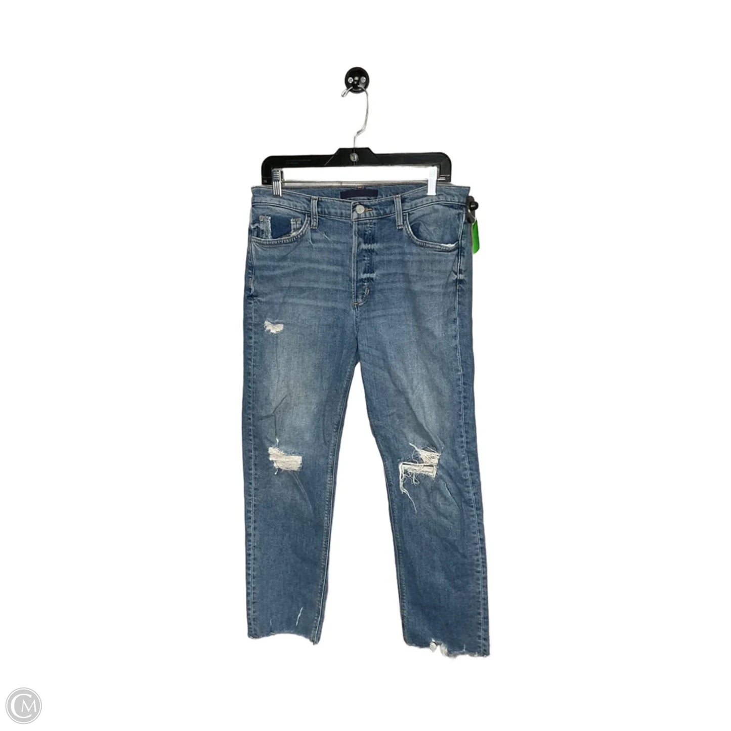 Jeans Skinny By Joes Jeans In Blue, Size: 10