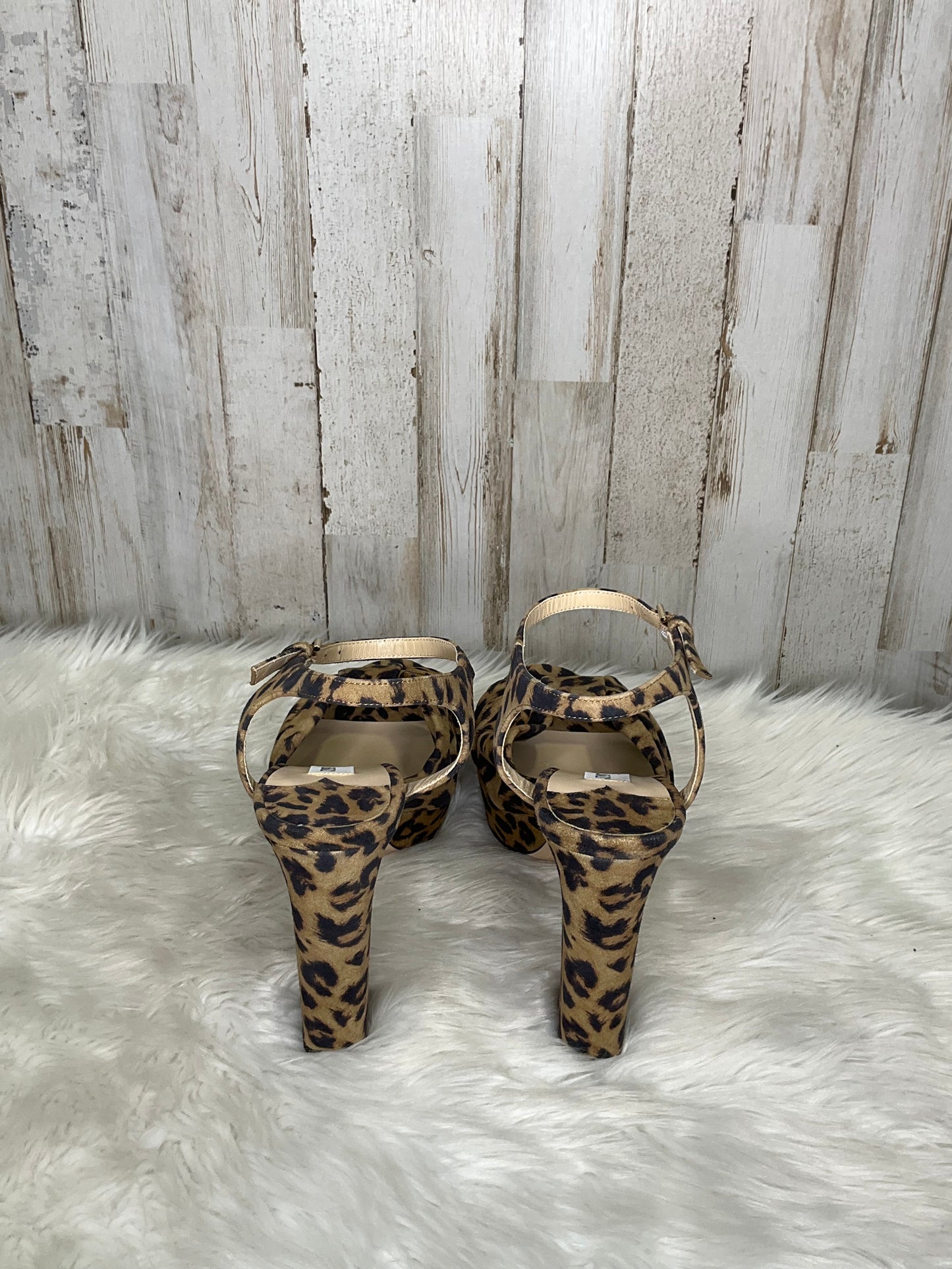 Animal Print Shoes Heels Block Jimmy Choo, Size 10