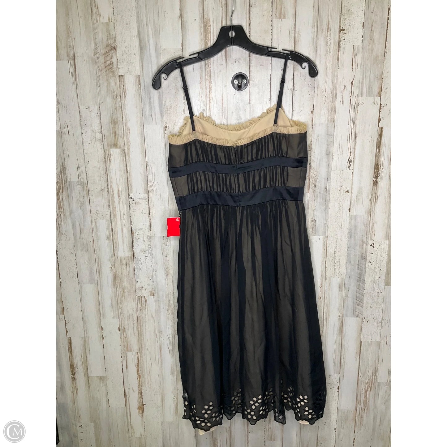 Dress Casual Short By Max And Cleo In Black, Size: 6