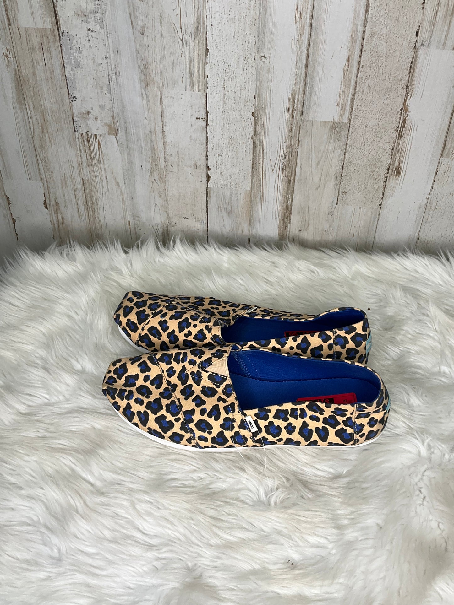 Shoes Flats By Toms  Size: 10